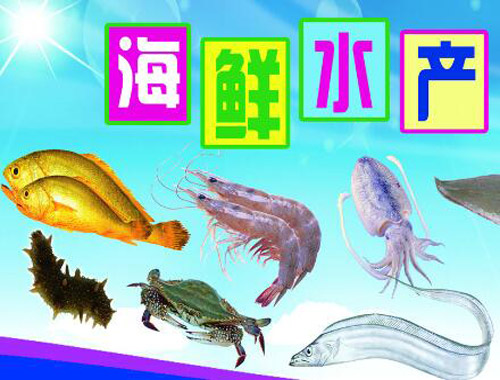 牛牛生態(tài)水產(chǎn)